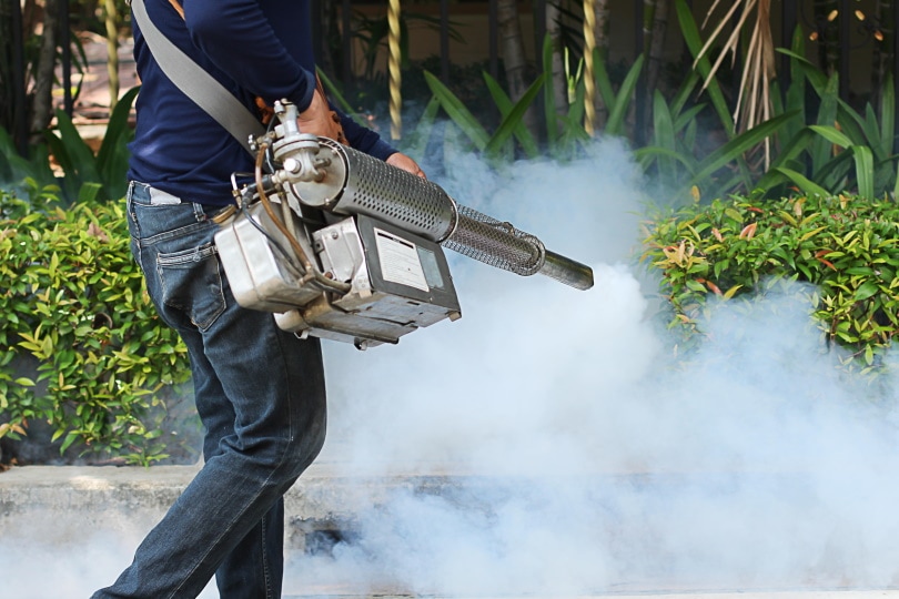 man fogging