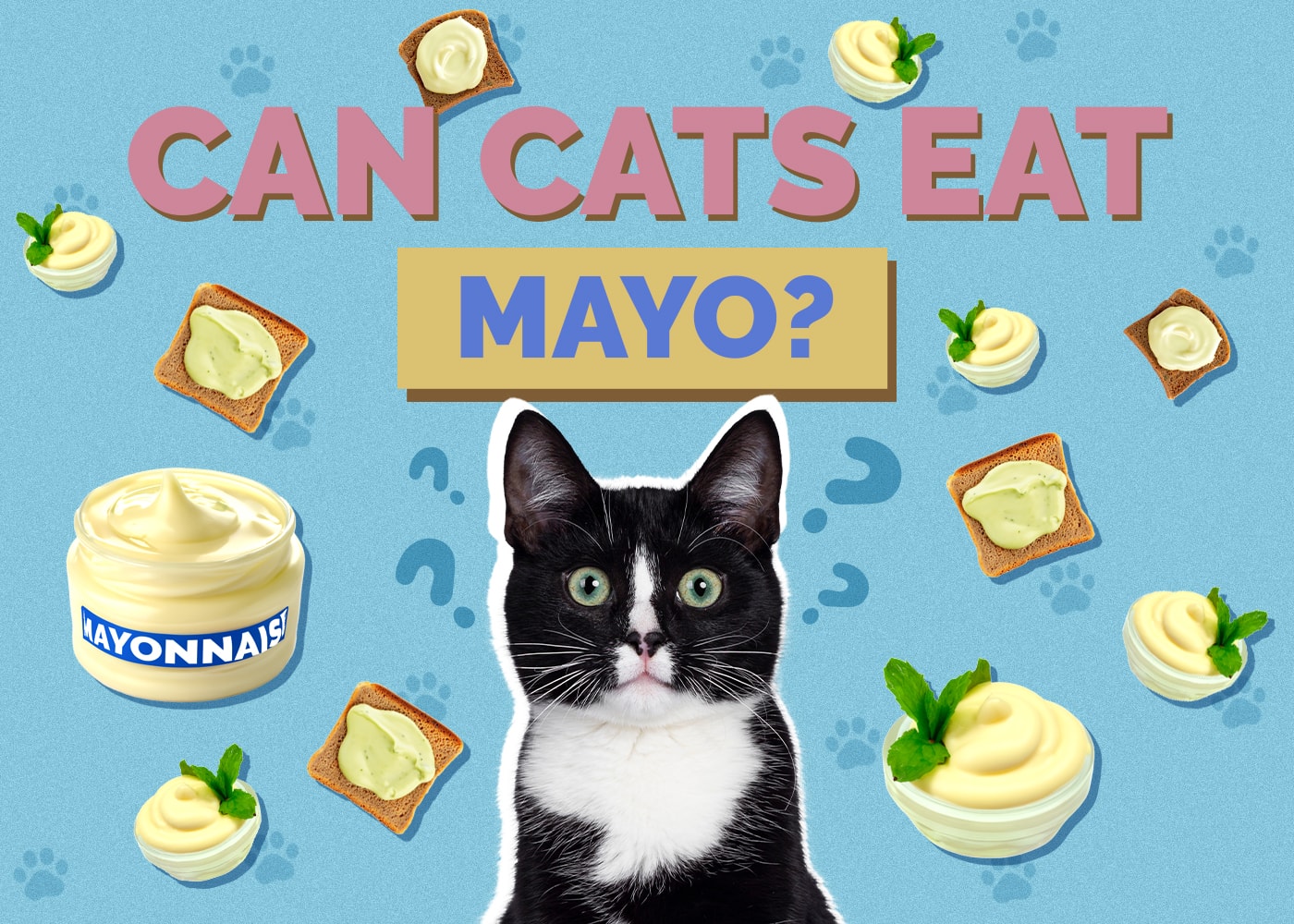 Can Cats Eat mayo