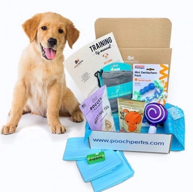 poochperks dog box