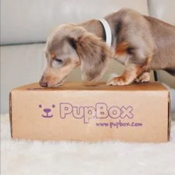 pupbox pet product