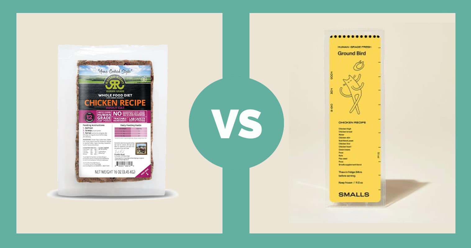 rasied right vs smalls ground bird