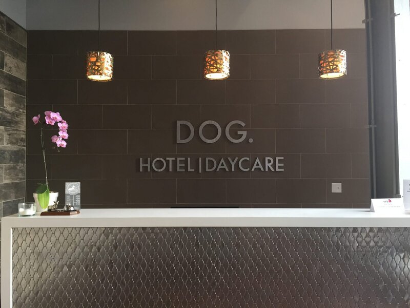 dog hotel and daycare