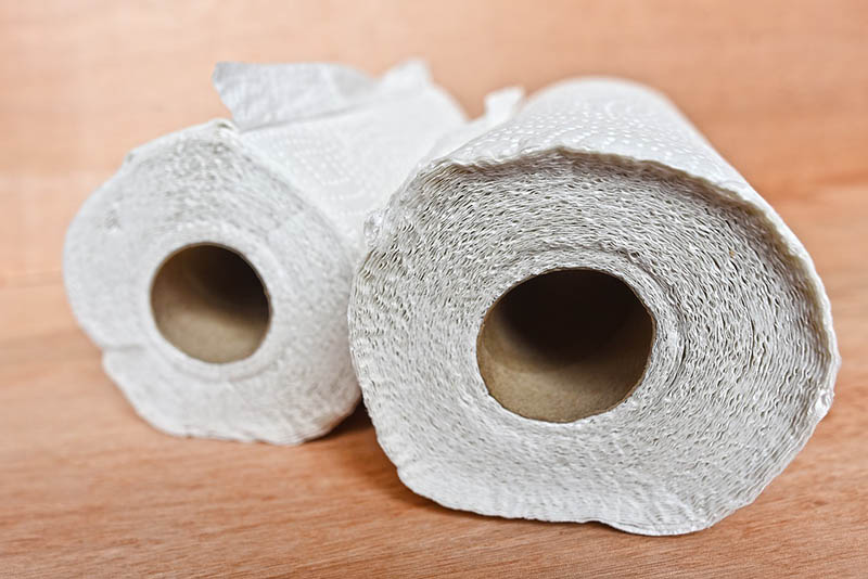 two rolls of kitchen towels