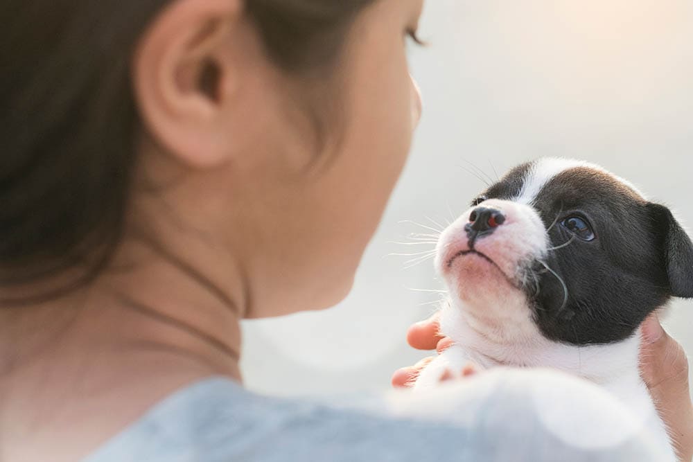 woman talking to a puppy