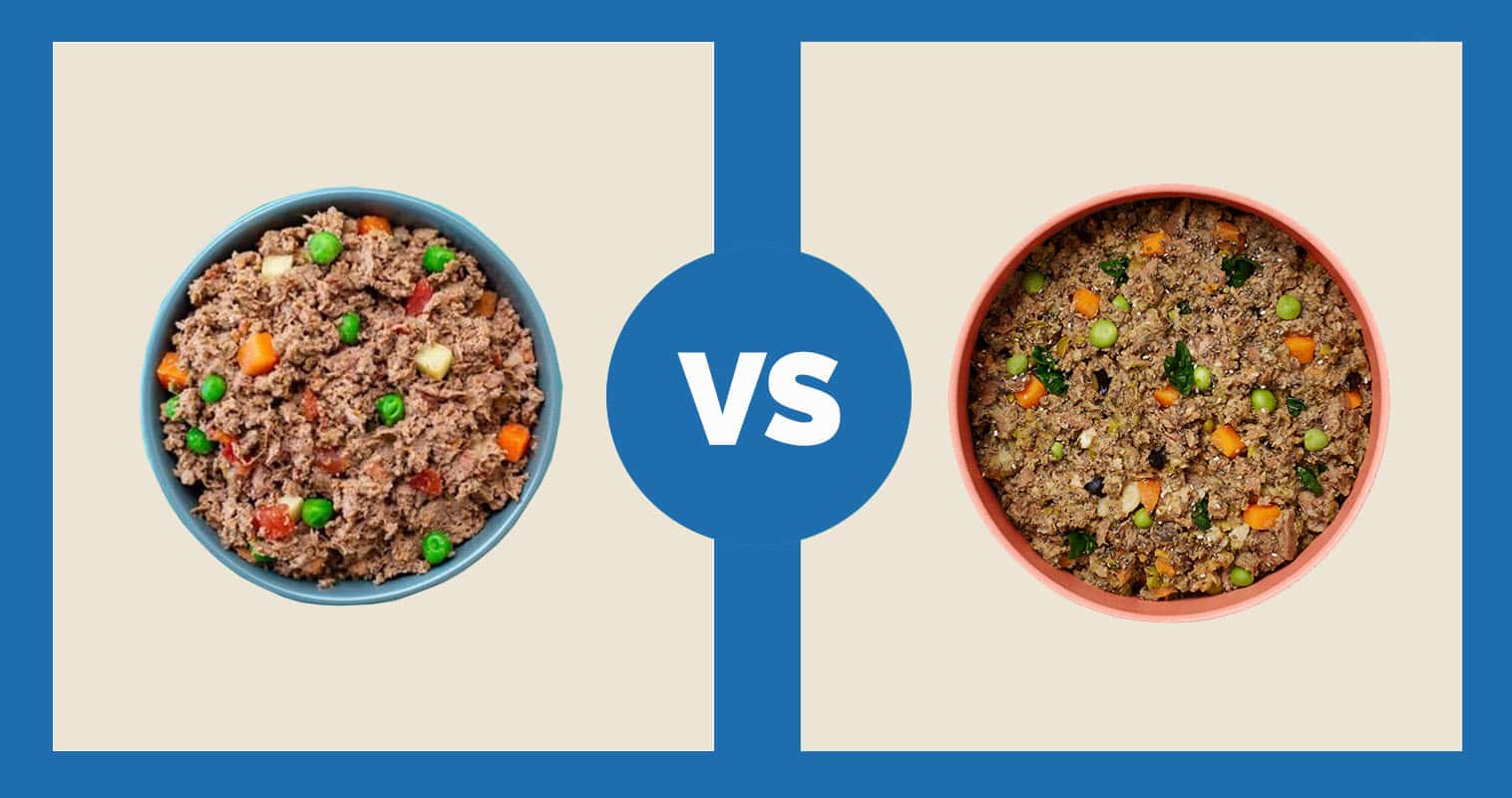 A Pup Above Texas Beef Stew vs Ollie Fresh Beef