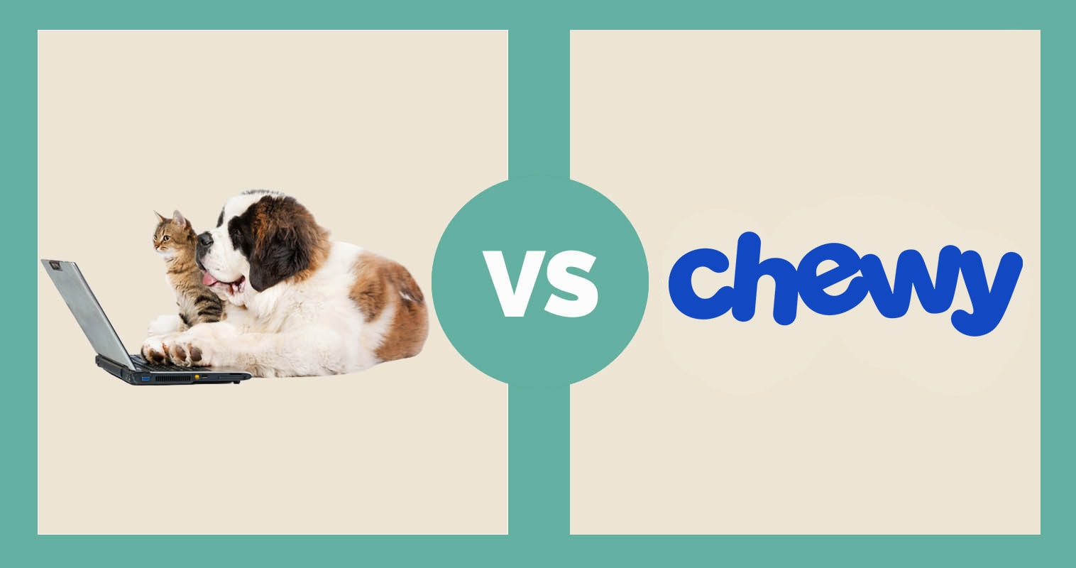 chewy vs amazon