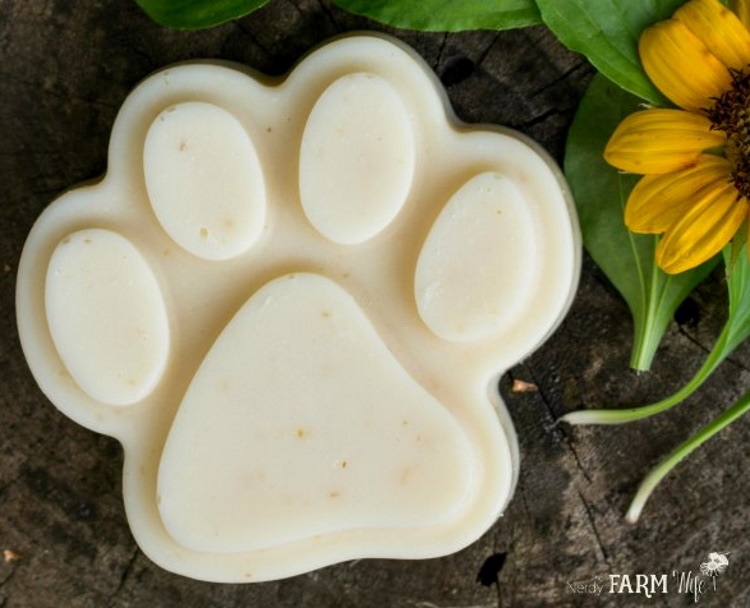 DIY dog shampoo