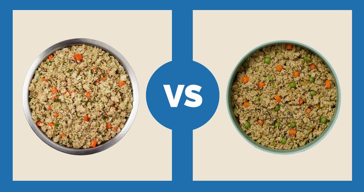 JustFoodForDogs Chicken & White Rice vs Ollie Fresh Chicken