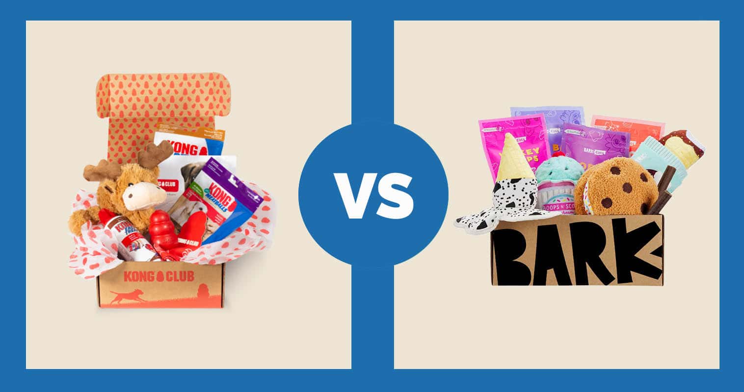 KONG Club vs BarkBox