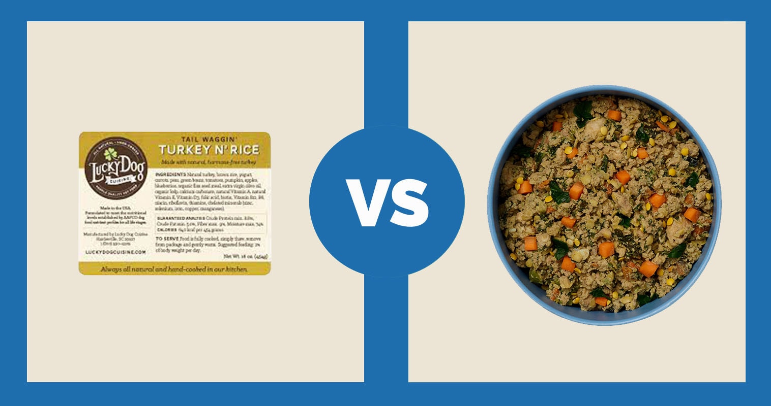 Lucky Dog Cuisine Turkey N’ Rice vs Ollie Fresh Turkey