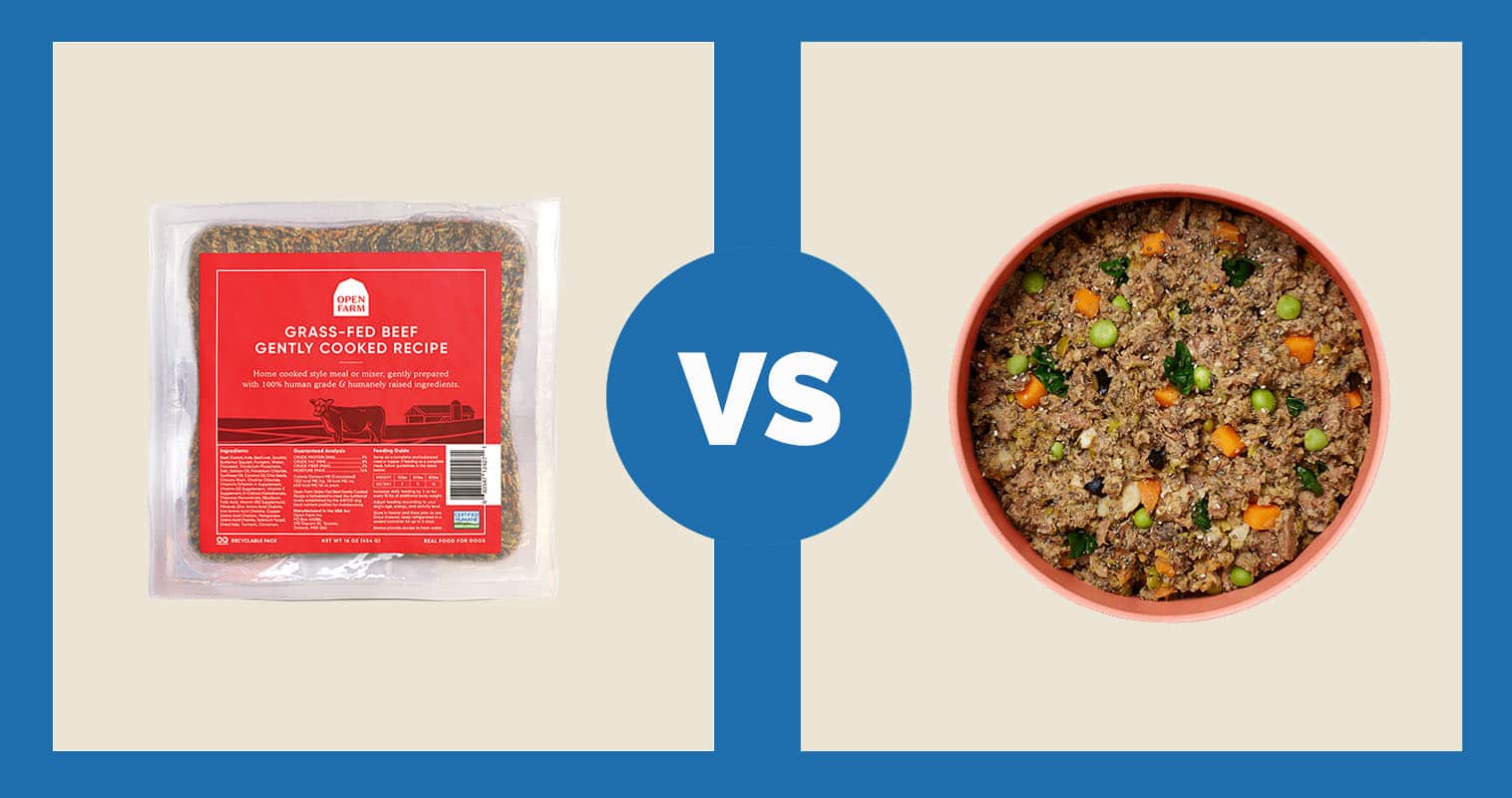 Open Farm Pet Grass-Fed Beef vs Ollie Fresh Beef