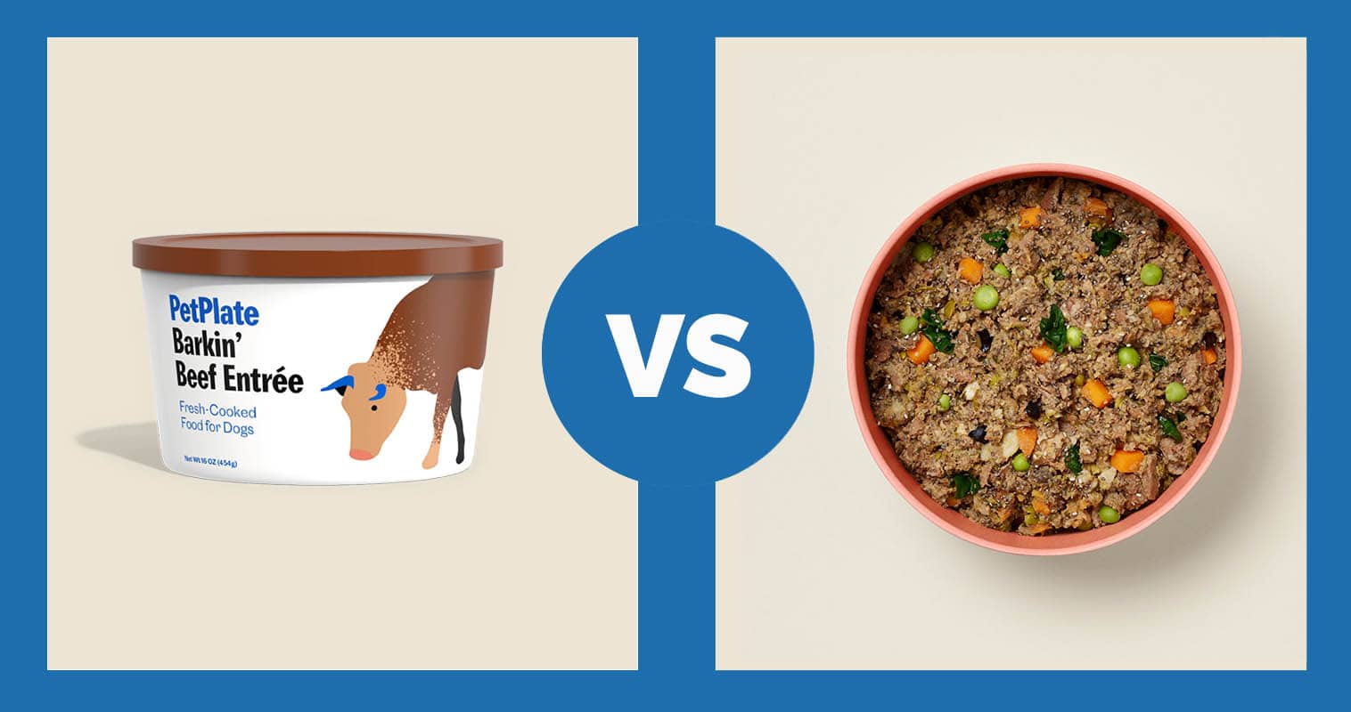PetPlate Barkin’ Beef Entree vs Ollie Fresh Beef
