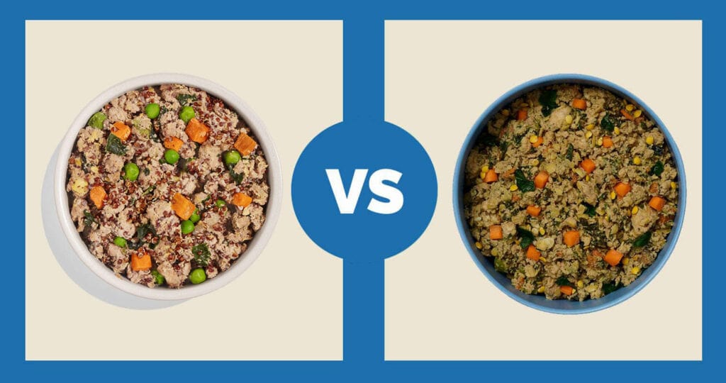 Spot-Tango-Turkey-and-Red-Quinoa-vs-Ollie-Fresh-Turkey