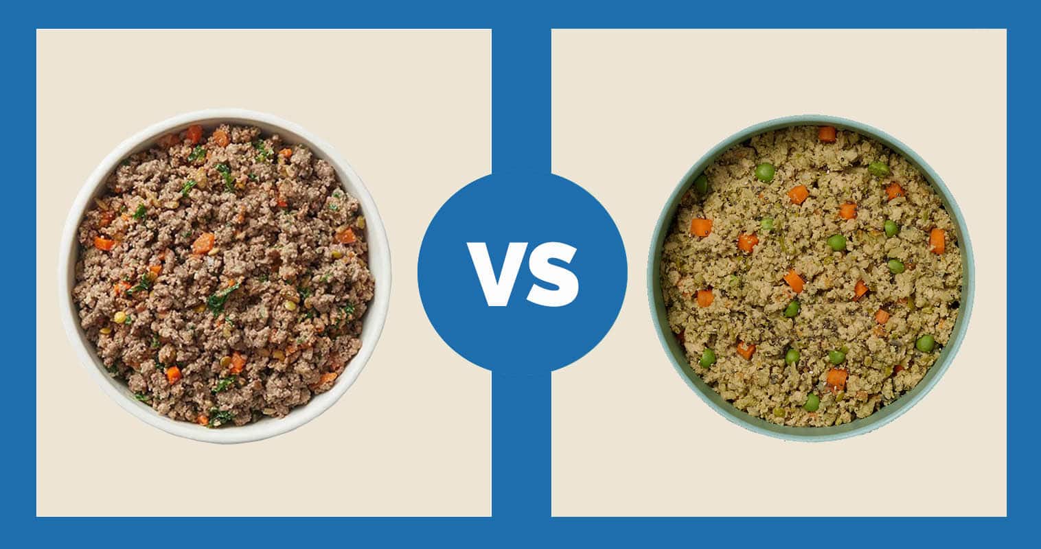 The Farmer’s Dog Chicken vs Ollie Fresh Chicken