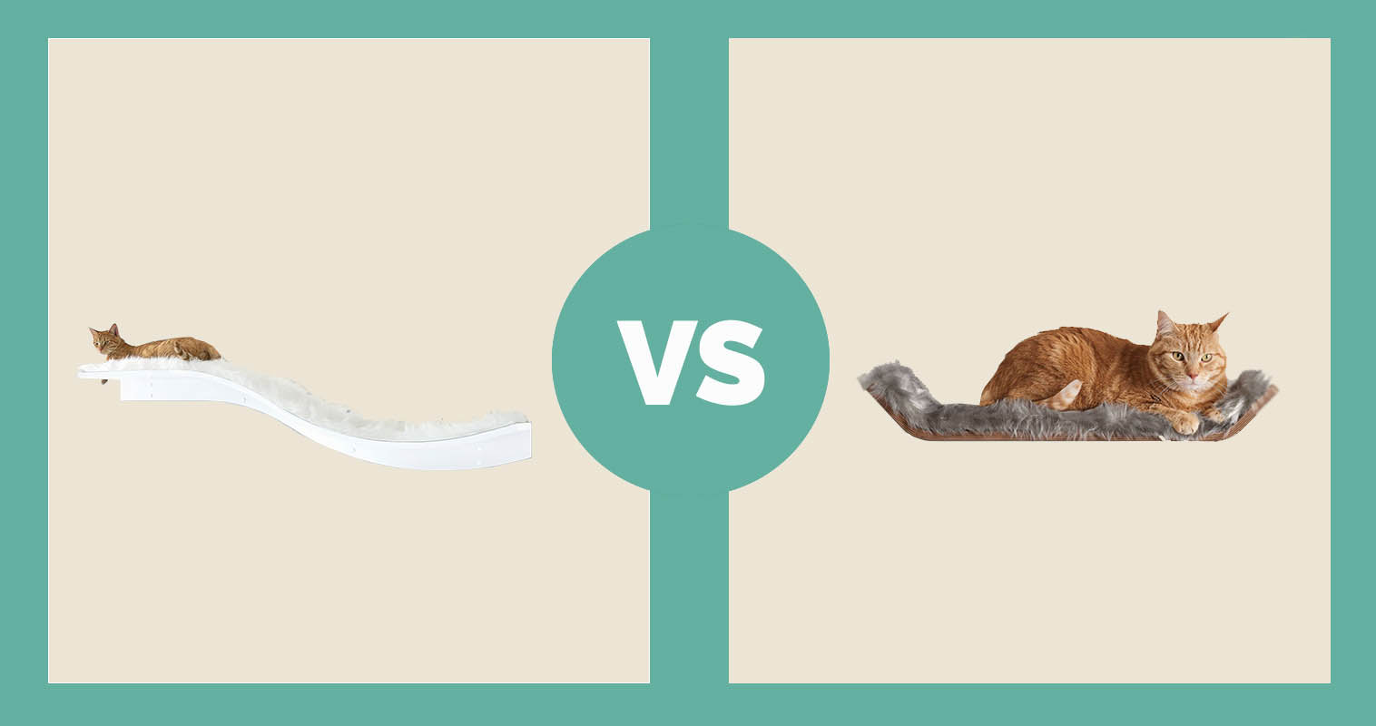 The Refined Feline Lotus Branch vs. Tuft + Paw Vista