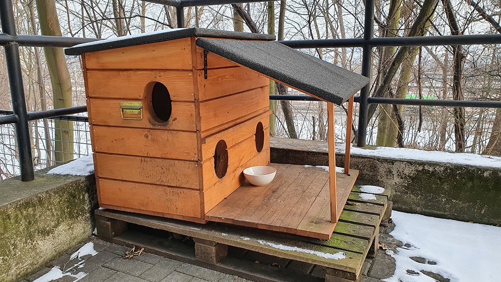 wooden pet house in the balcony