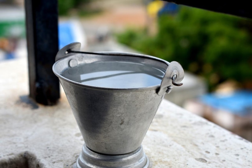 A small bucket of water