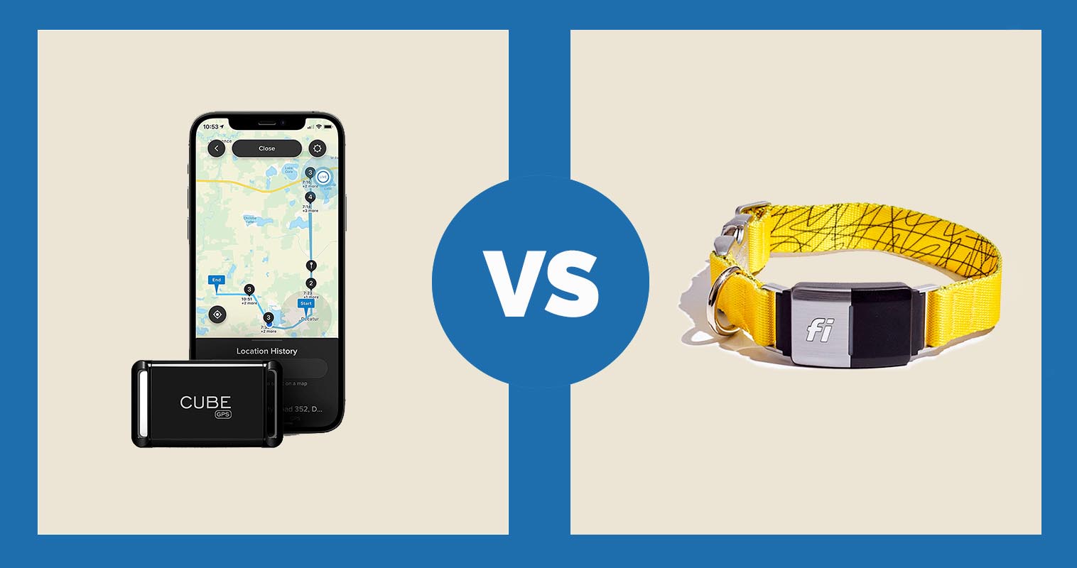 Cube Real-Time GPS Dog Tracker vs Fi Dog Collar