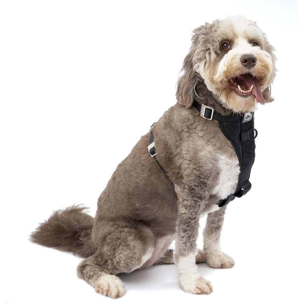Kurgo Tru-Fit Crash Tested Dog Harness