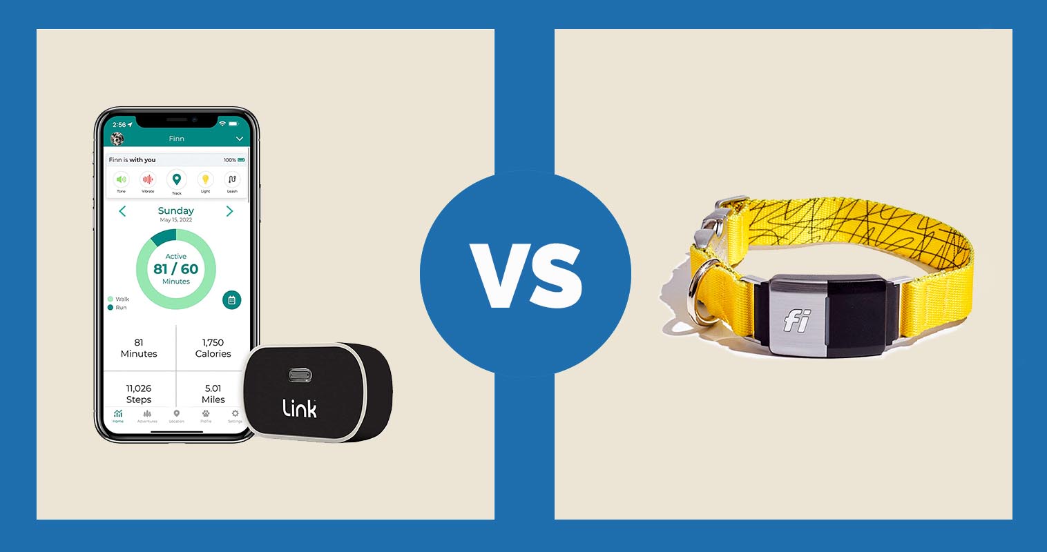 Link GPS Tracking Dog Collar vs Fi Dog Collar