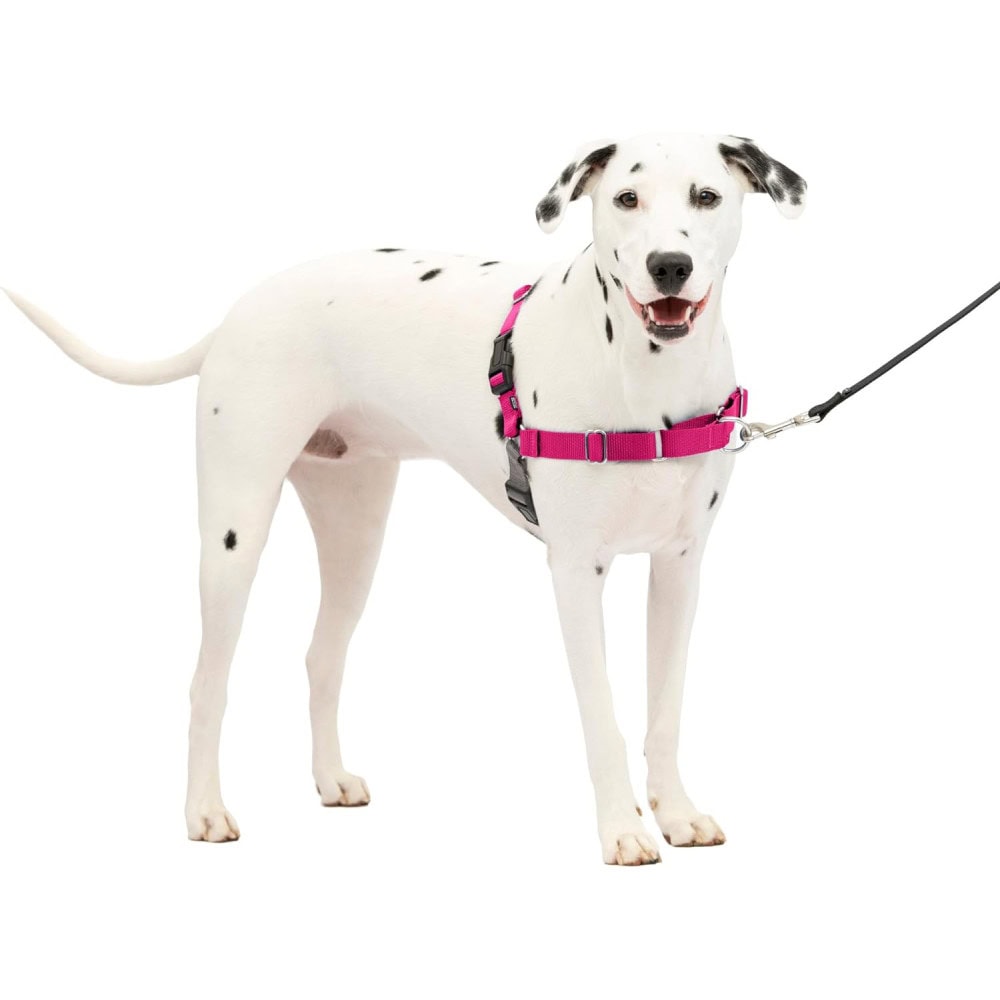 PetSafe Easy Walk Dog Harness