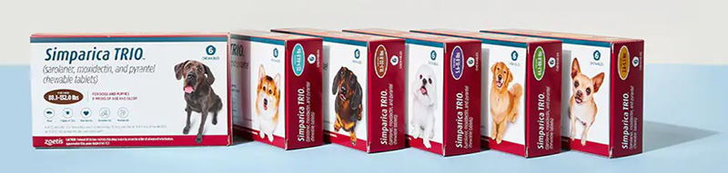 Simparica TRIO
