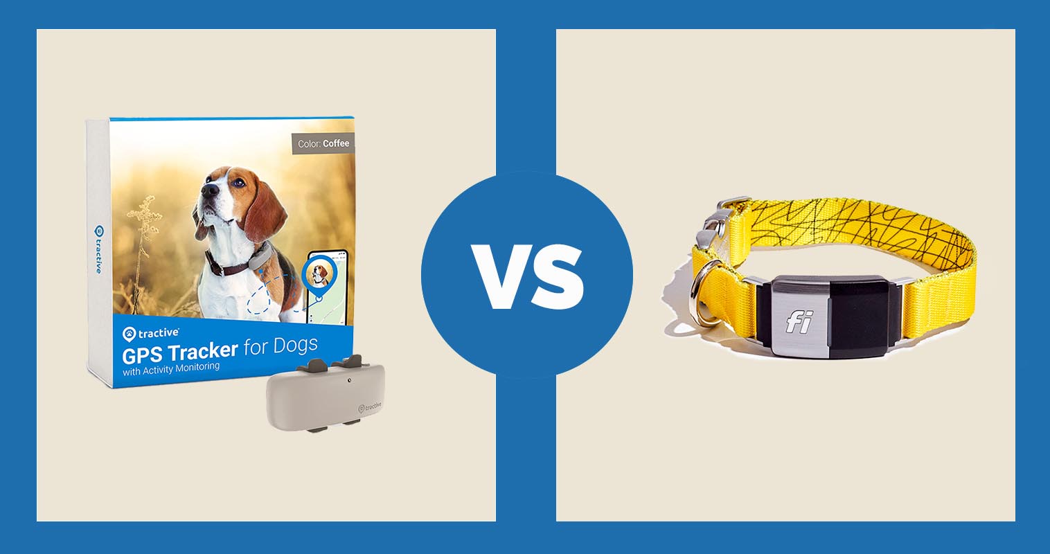 Tractive Dog GPS Tracker vs Fi Dog Collar