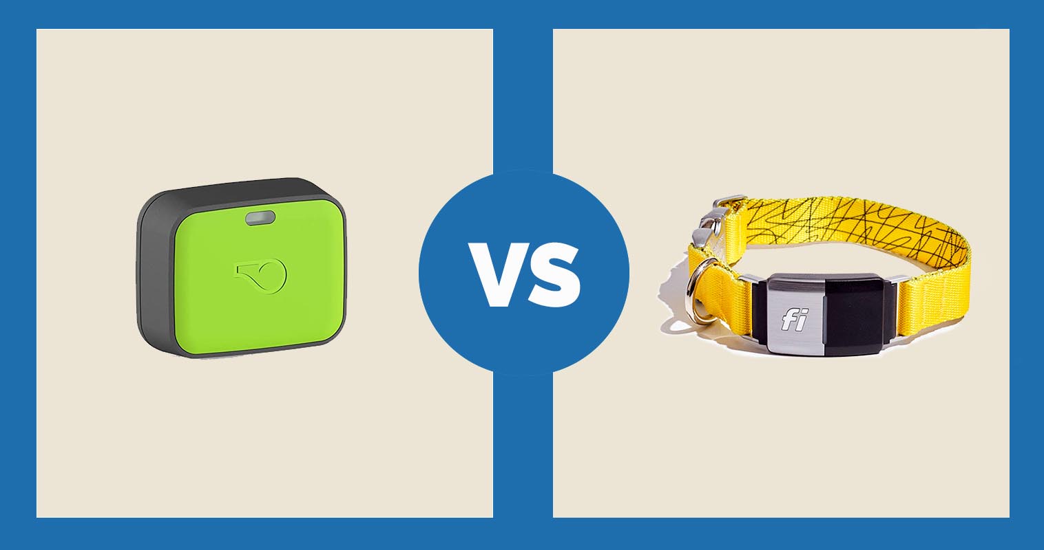 Whistle Go Explore Dog GPS Tracker vs Fi Dog Collar copy