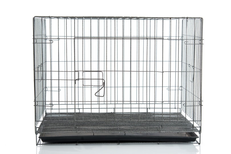 empty dog crate