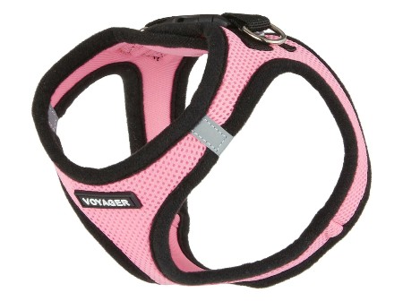 Best Pet Supplies Voyager Black Trim Mesh Dog Harness