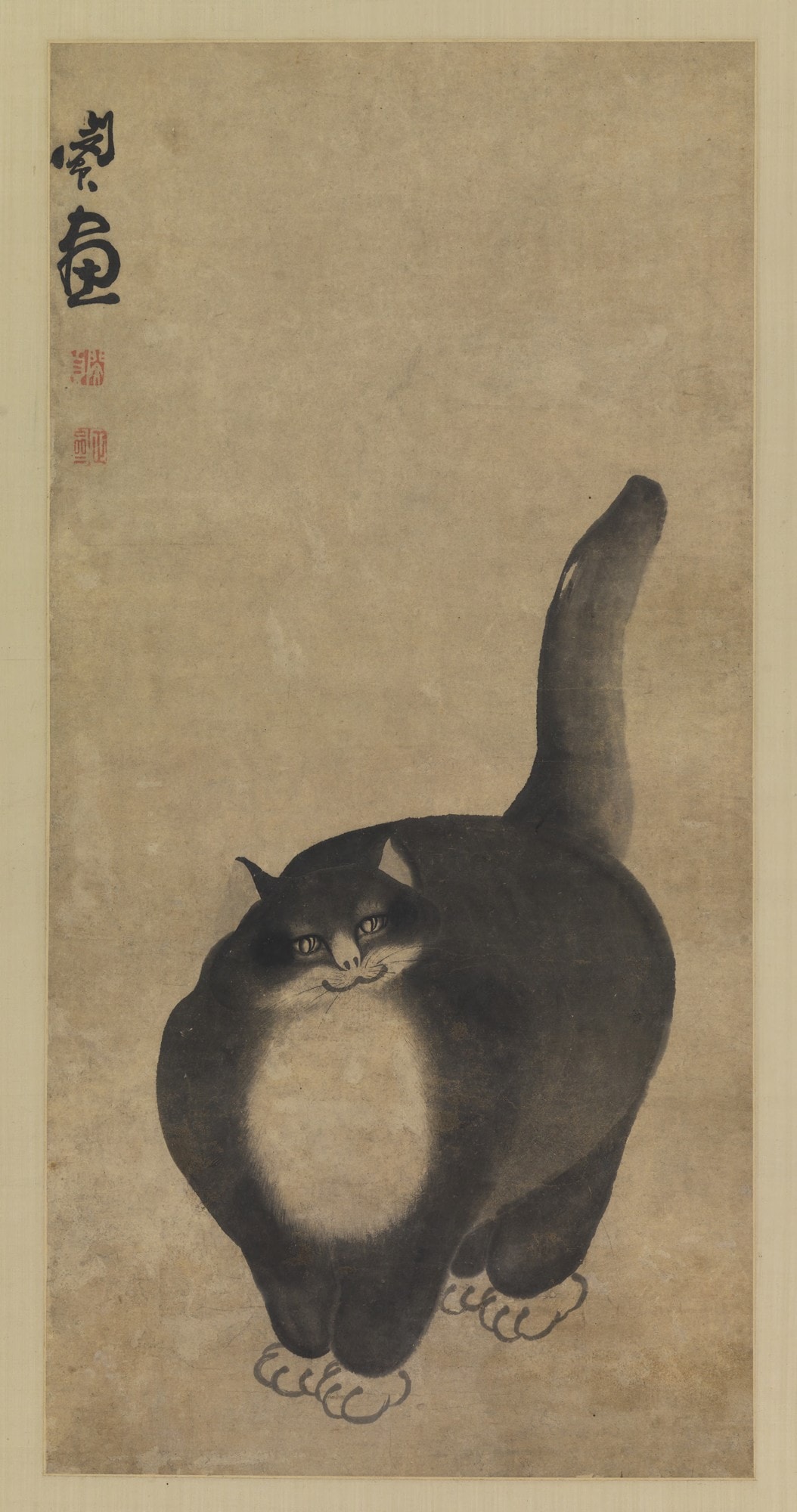 Black Cat - Min Zhen