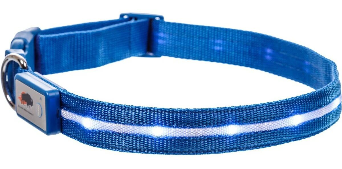 Blazin’ Safety LED Collar