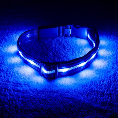 Blazin’ Safety LED USB Rechargeable Nylon Dog Collar