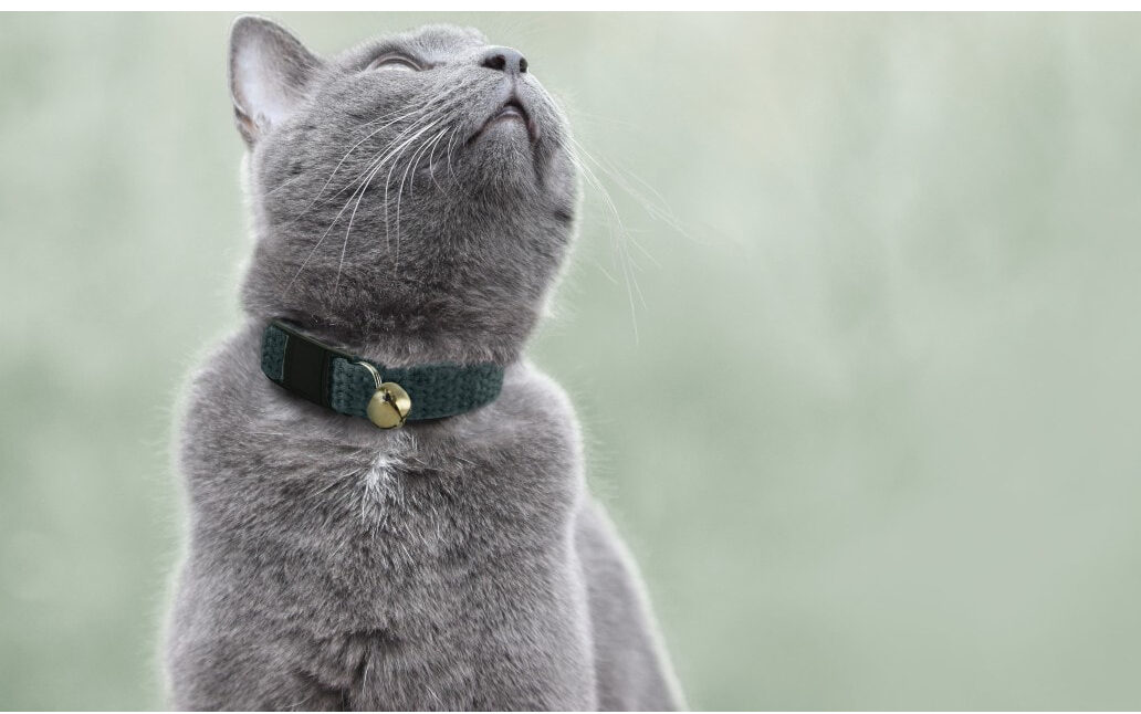 Hepper Hemp Breakaway Cat Collar