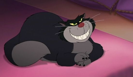 Lucifer the cat - Cinderella