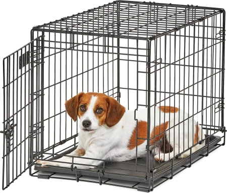 MidWest LifeStages Single Door Collapsible Wire Dog Crate