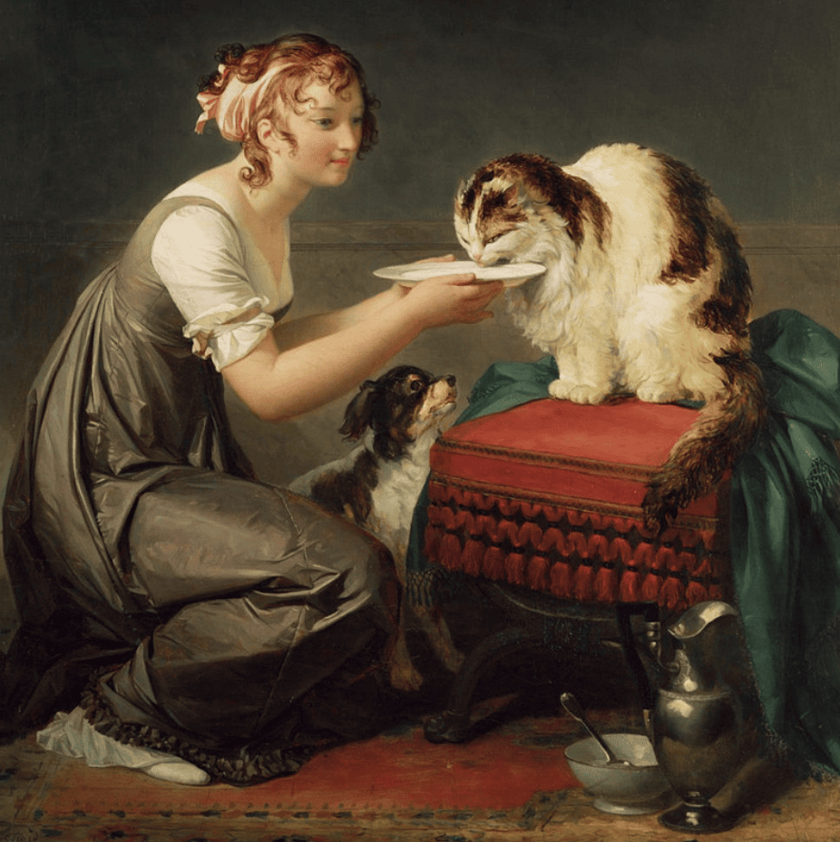 The Cat’s Lunch