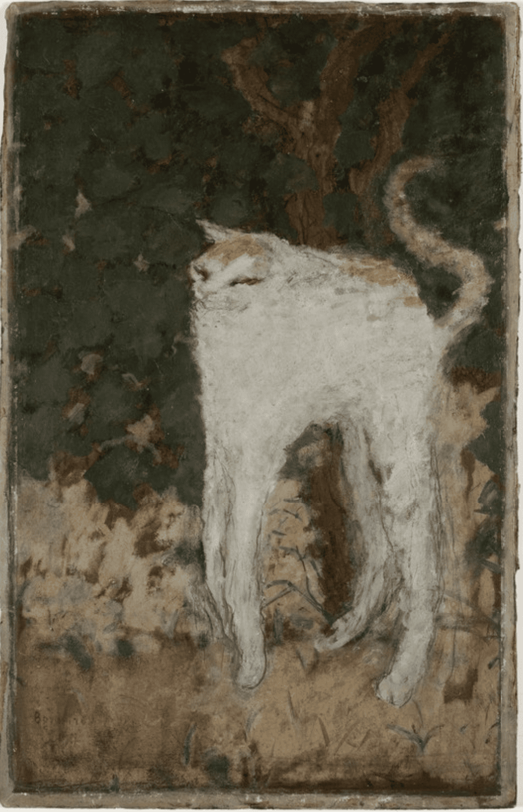 The White Cat