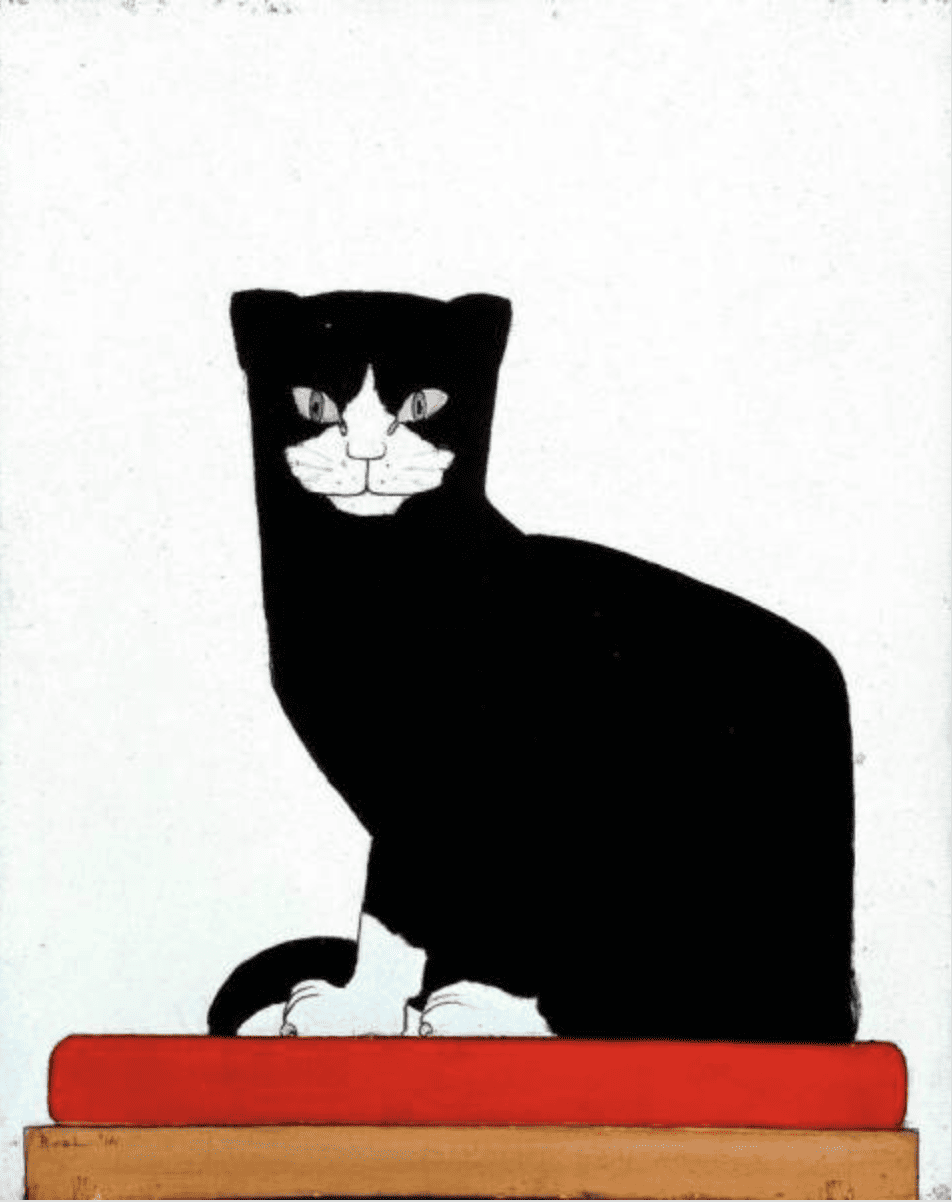 The cat