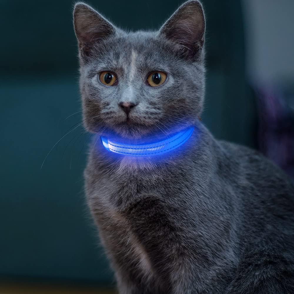 Vizpet LED Cat Collar USB Rechargeable