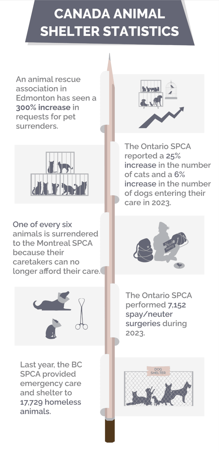 17 Animal Shelter Statistics in Canada: Facts to Know in 2026 | Hepper ...