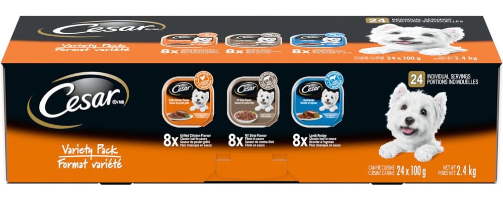 CESAR Classic Loaf in Sauce Adult Wet Dog Food Variety Pack 