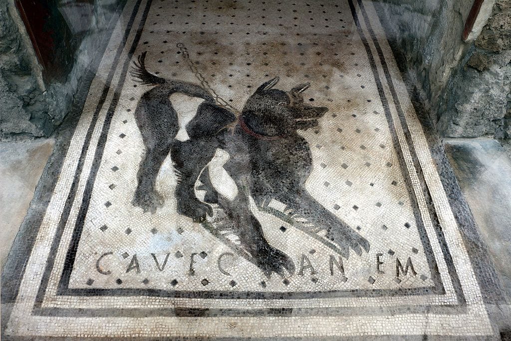Casa_del_poeta_tragico,_mosaico_del_cave_canem