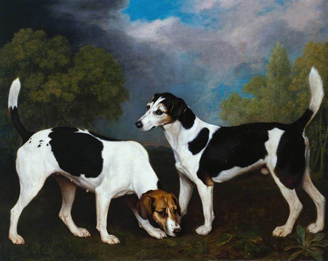 Stubbs, George, 1724-1806; A Couple of Foxhounds
