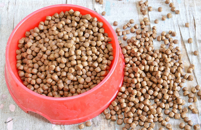 Grain Dog Food