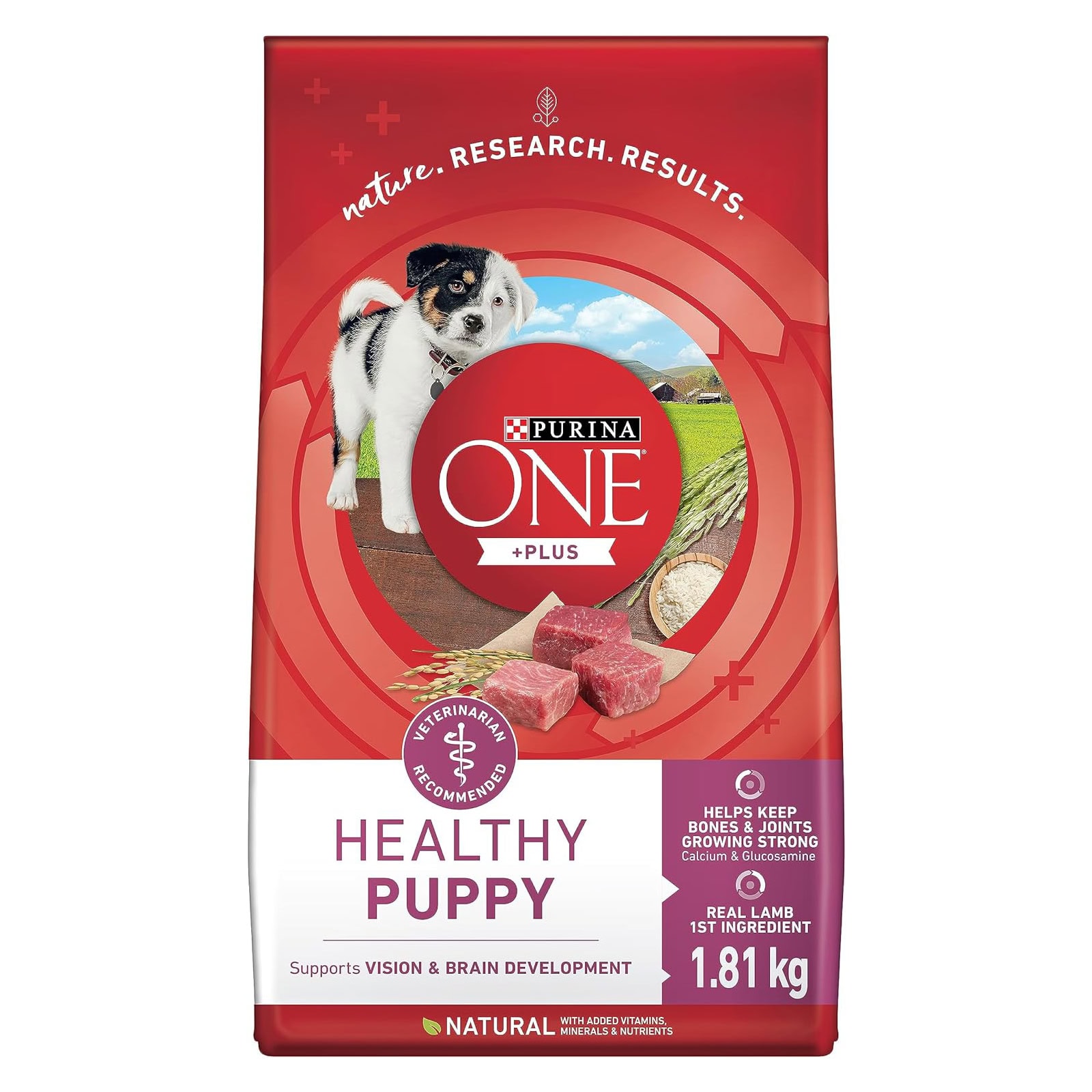 Purina One Healthy Puppy