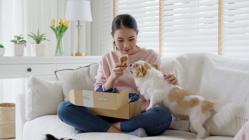Sall dog smelling a treat from a box held by hi owner
