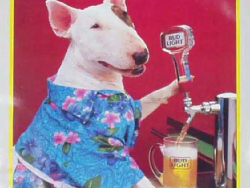 Spuds MacKenzie serving Bud Light Beer Bud Light, Anheuser-Busch Companies, LLC. 
