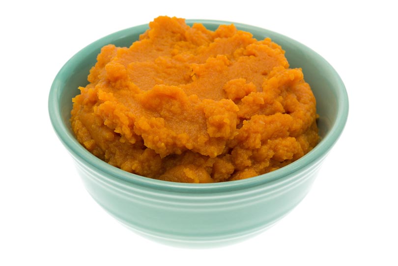 canned pumpkin on a green bowl