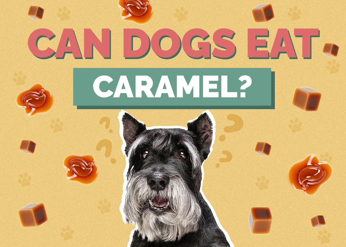 Can Dog Eat caramel